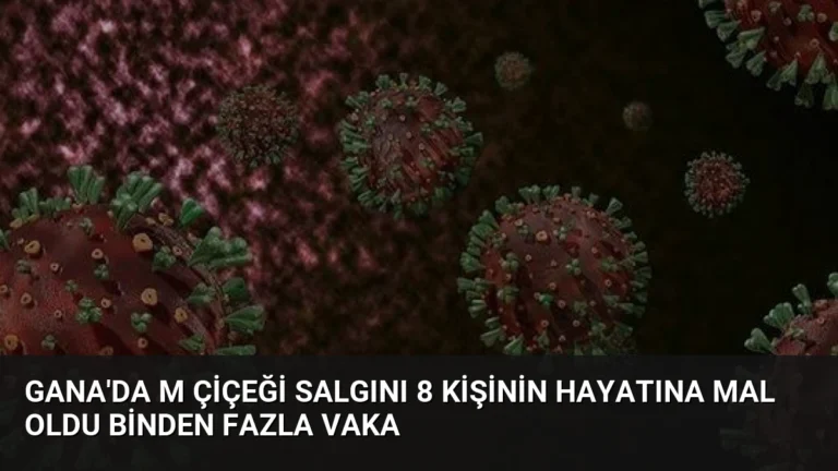 Gana’da M Çiçeği Salgını 8 Kişinin Hayatına Mal Oldu Binden Fazla Vaka