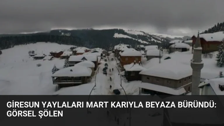 Giresun Yaylaları Mart Karıyla Beyaza Büründü: Görsel Şölen