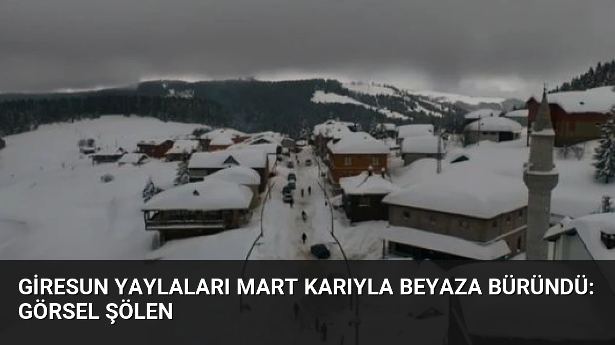 Giresun Yaylaları Mart Karıyla Beyaza Büründü: Görsel Şölen
