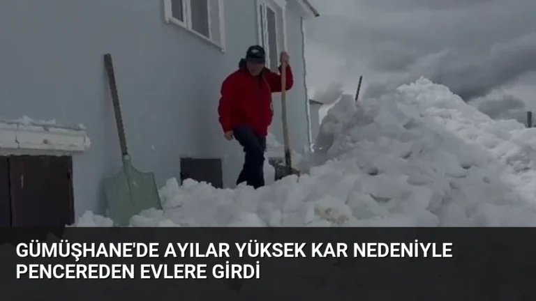 Gümüşhane’de Ayılar Yüksek Kar Nedeniyle Pencereden Evlere Girdi
