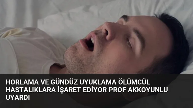 Horlama ve Gündüz Uyuklama Ölümcül Hastalıklara İşaret Ediyor Prof Akkoyunlu Uyardı