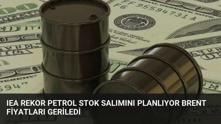 IEA Rekor Petrol Stok Salımını Planlıyor Brent Fiyatları Geriledi