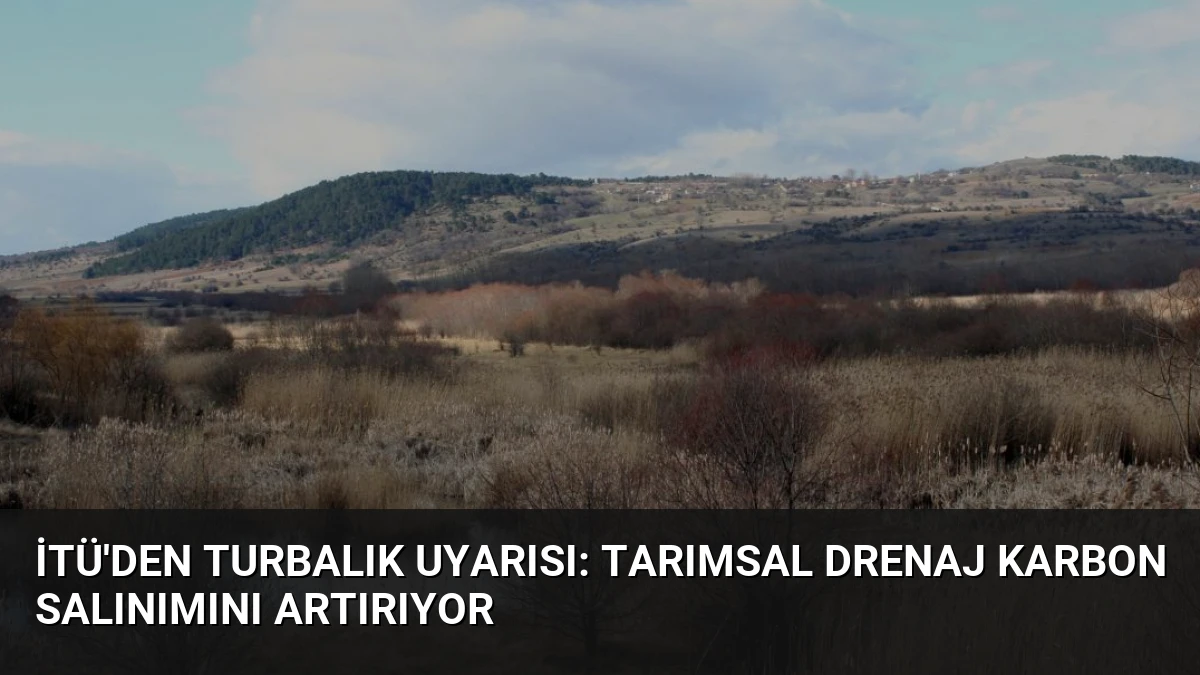 İTÜ’den Turbalık Uyarısı: Tarımsal Drenaj Karbon Salınımını Artırıyor