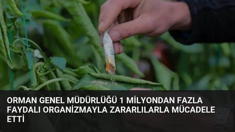 Orman Genel Müdürlüğü 1 Milyondan Fazla Faydalı Organizmayla Zararlılarla Mücadele Etti