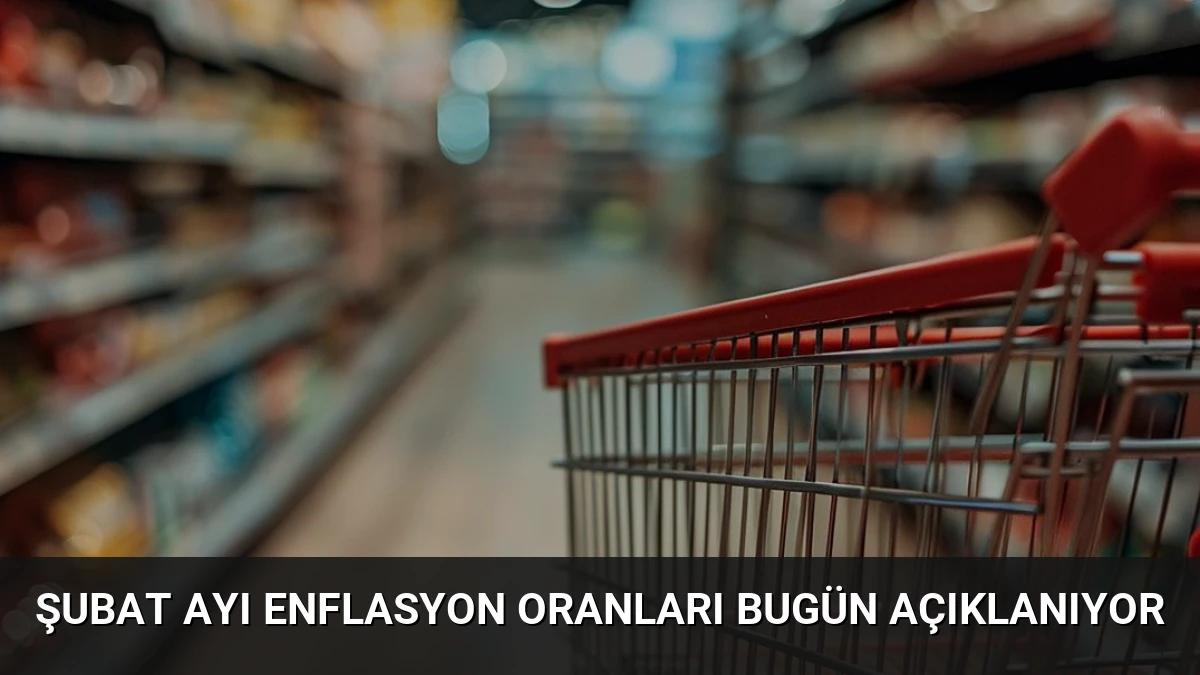 Şubat Ayı Enflasyon Oranları Bugün Açıklanıyor