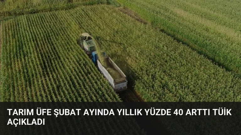 Tarım ÜFE Şubat Ayında Yıllık Yüzde 40 Arttı TÜİK Açıkladı