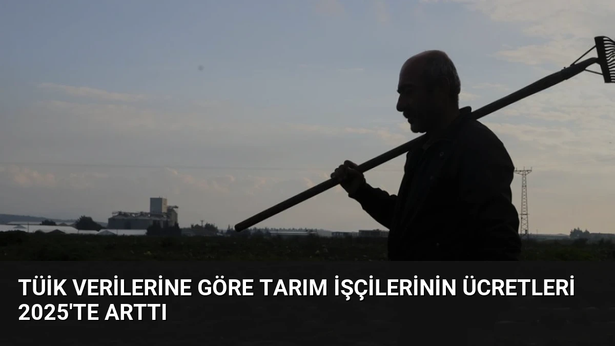 TÜİK Verilerine Göre Tarım İşçilerinin Ücretleri 2025’te Arttı