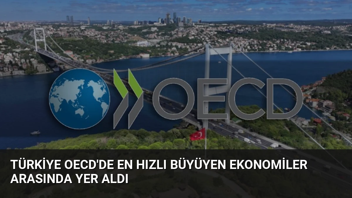 Türkiye OECD’de En Hızlı Büyüyen Ekonomiler Arasında Yer Aldı