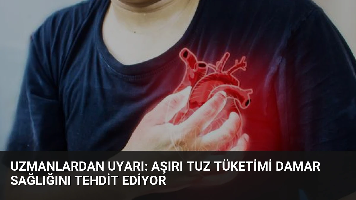 Uzmanlardan Uyarı: Aşırı Tuz Tüketimi Damar Sağlığını Tehdit Ediyor
