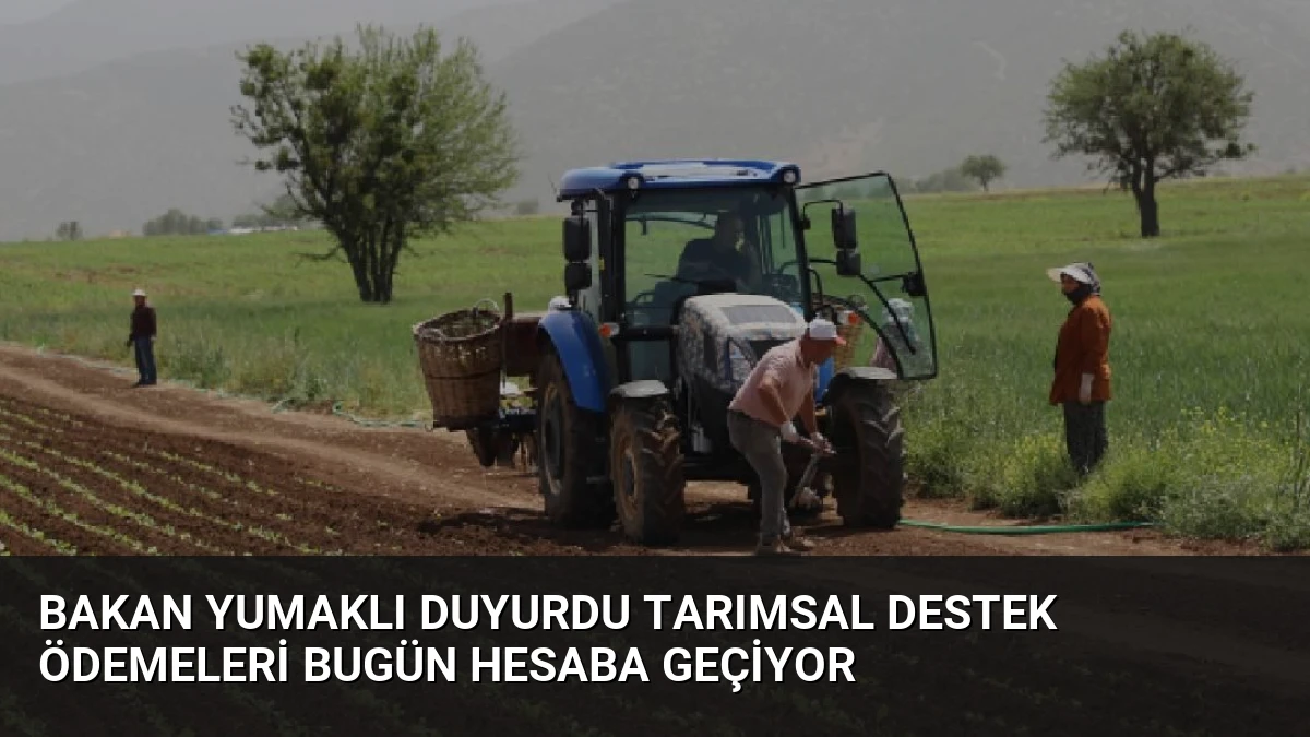 Bakan Yumaklı Duyurdu Tarımsal Destek Ödemeleri Bugün Hesaba Geçiyor