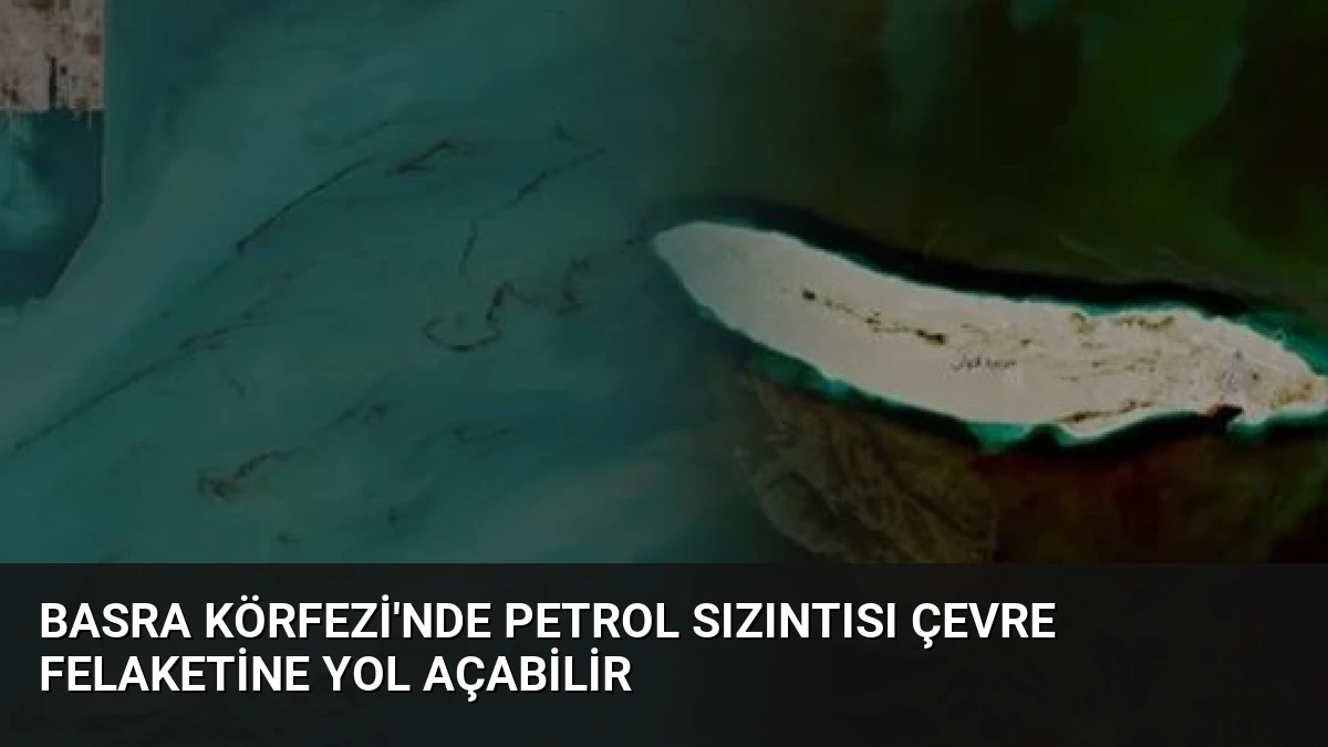 Basra Körfezi’nde Petrol Sızıntısı Çevre Felaketine Yol Açabilir