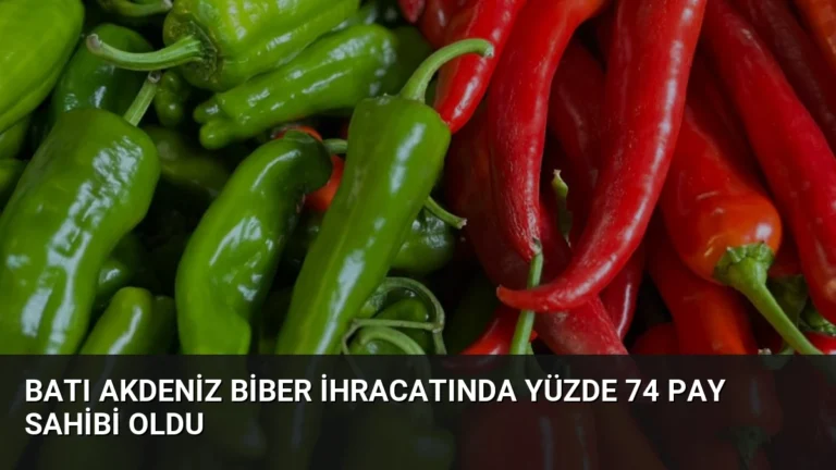Batı Akdeniz Biber İhracatında Yüzde 74 Pay Sahibi Oldu