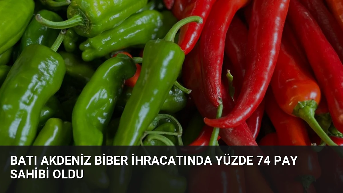 Batı Akdeniz Biber İhracatında Yüzde 74 Pay Sahibi Oldu