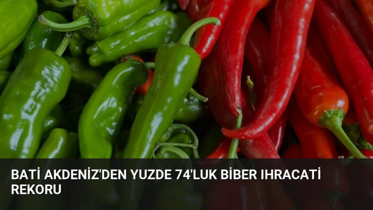 Bati Akdeniz’den Yuzde 74’luk Biber Ihracati Rekoru