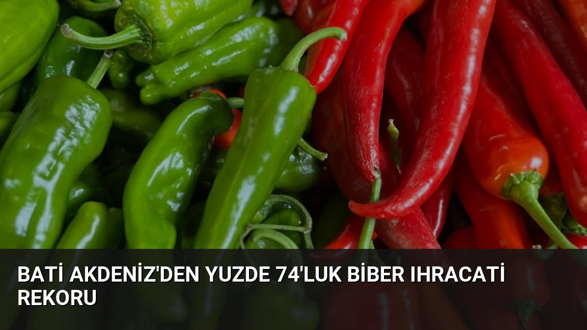 Bati Akdeniz’den Yuzde 74’luk Biber Ihracati Rekoru