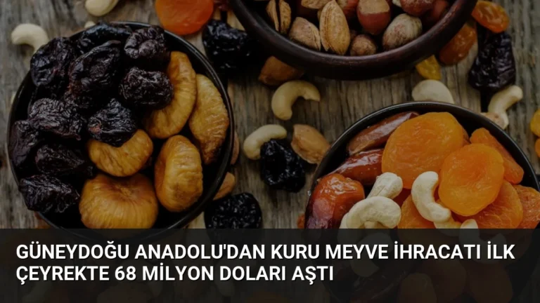 Güneydoğu Anadolu’dan Kuru Meyve İhracatı İlk Çeyrekte 68 Milyon Doları Aştı