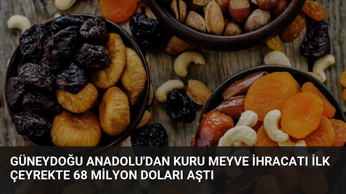 Güneydoğu Anadolu’dan Kuru Meyve İhracatı İlk Çeyrekte 68 Milyon Doları Aştı