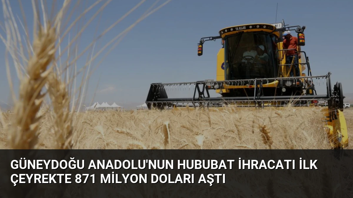 Güneydoğu Anadolu’nun Hububat İhracatı İlk Çeyrekte 871 Milyon Doları Aştı