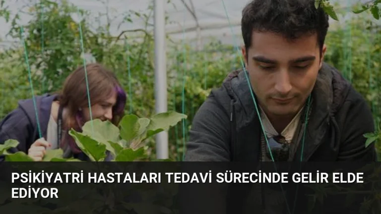 Psikiyatri Hastaları Tedavi Sürecinde Gelir Elde Ediyor
