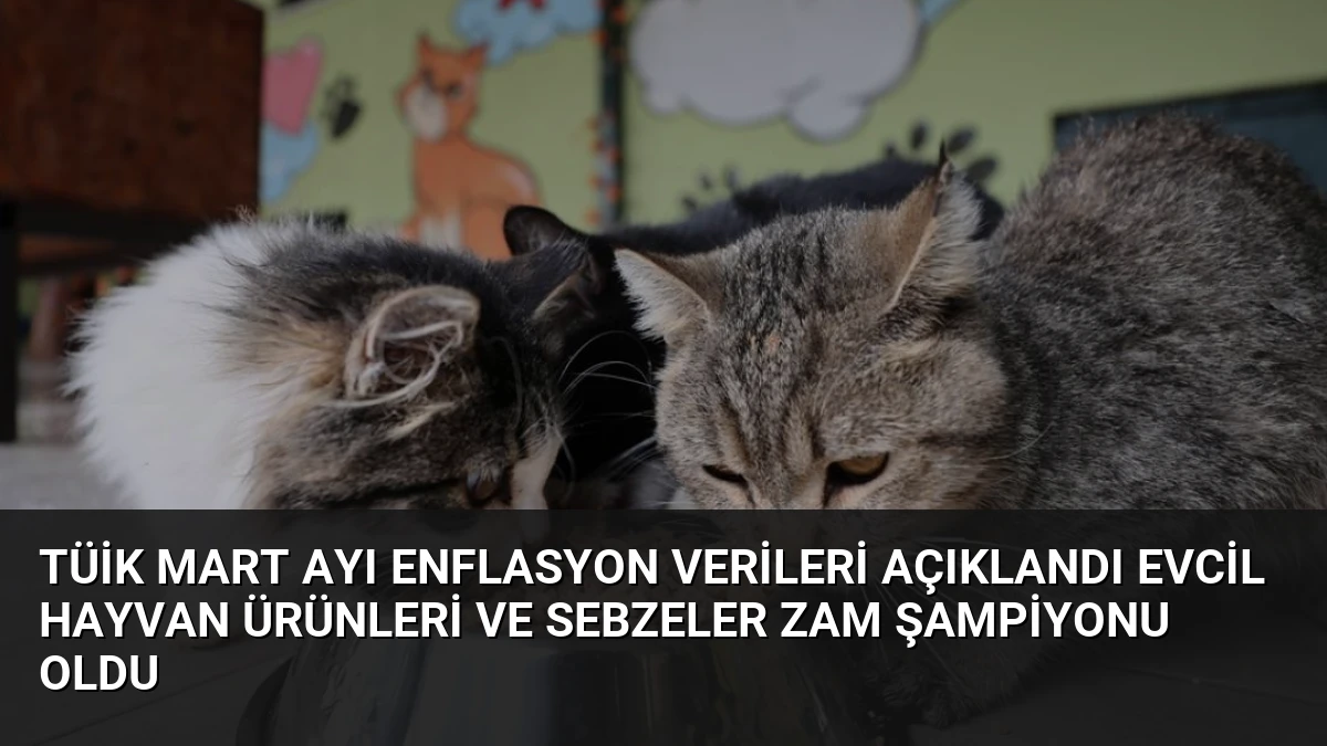 TÜİK Mart Ayı Enflasyon Verileri Açıklandı Evcil Hayvan Ürünleri ve Sebzeler Zam Şampiyonu Oldu