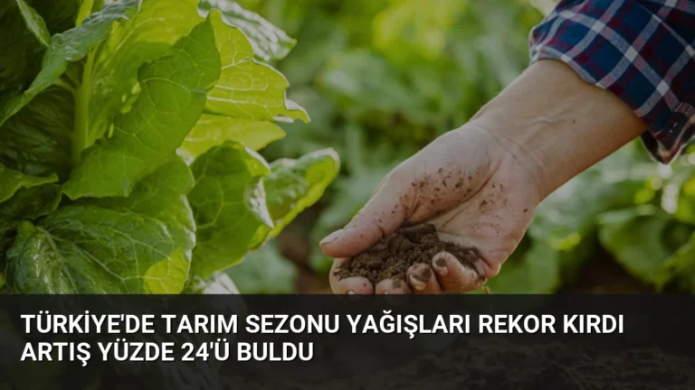 Türkiye’de Tarım Sezonu Yağışları Rekor Kırdı Artış Yüzde 24’ü Buldu