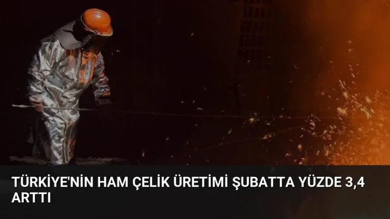 Türkiye’nin Ham Çelik Üretimi Şubatta Yüzde 3,4 Arttı