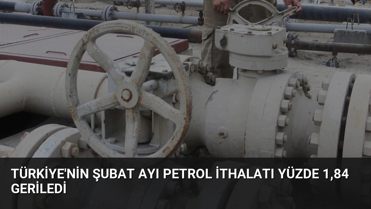 Türkiye’nin Şubat Ayı Petrol İthalatı Yüzde 1,84 Geriledi