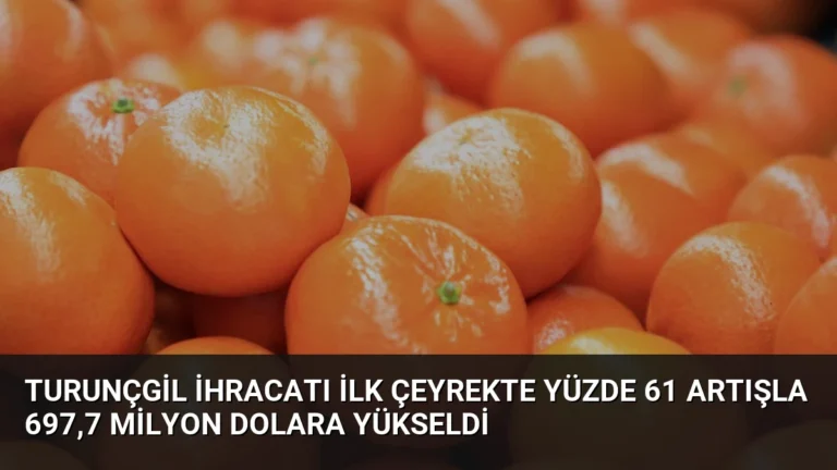 Turunçgil İhracatı İlk Çeyrekte Yüzde 61 Artışla 697,7 Milyon Dolara Yükseldi