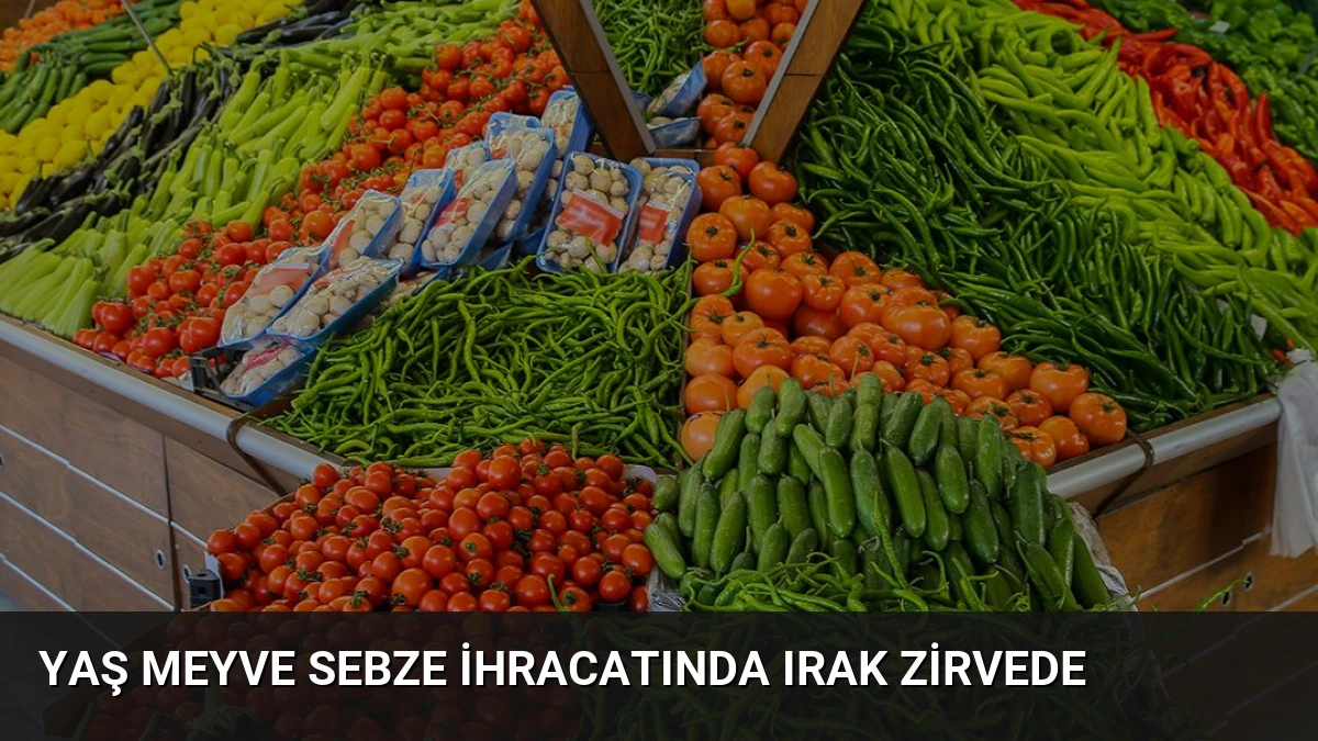 Yaş Meyve Sebze İhracatında Irak Zirvede