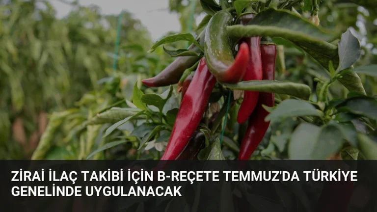 Zirai İlaç Takibi İçin B-Reçete Temmuz’da Türkiye Genelinde Uygulanacak