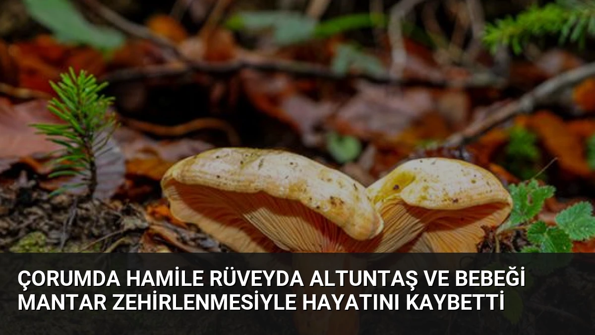 Çorumda Hamile Rüveyda Altuntaş ve Bebeği Mantar Zehirlenmesiyle Hayatını Kaybetti