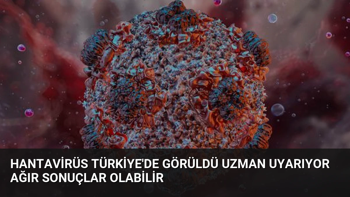 Hantavirüs Türkiye’de Görüldü Uzman Uyarıyor Ağır Sonuçlar Olabilir