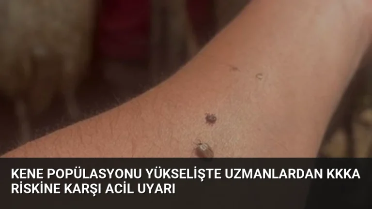 Kene Popülasyonu Yükselişte Uzmanlardan KKKA Riskine Karşı Acil Uyarı