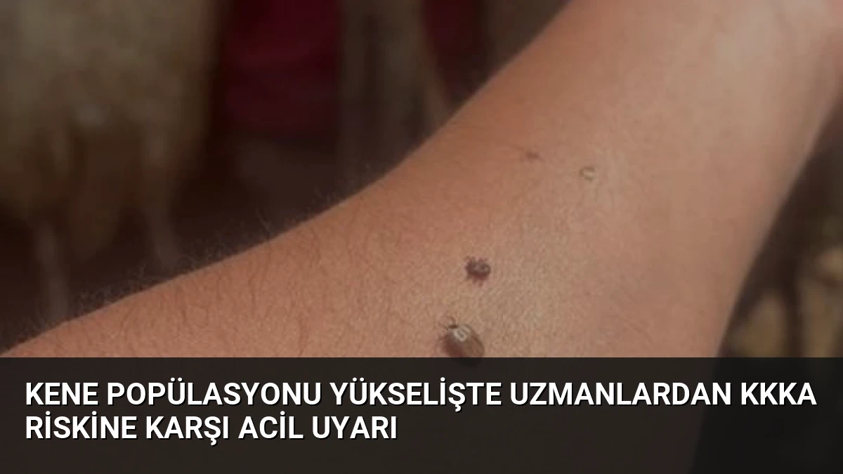 Kene Popülasyonu Yükselişte Uzmanlardan KKKA Riskine Karşı Acil Uyarı