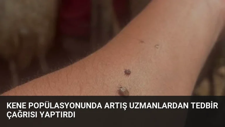 Kene Popülasyonunda Artış Uzmanlardan Tedbir Çağrısı Yaptırdı