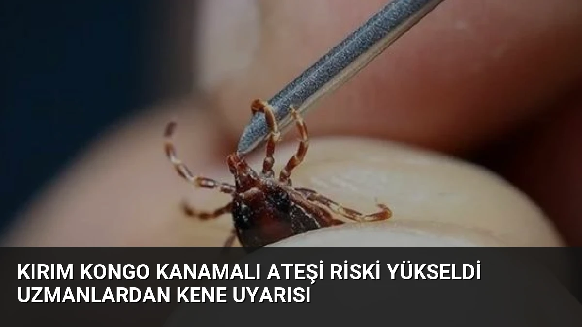 Kırım Kongo Kanamalı Ateşi Riski Yükseldi Uzmanlardan Kene Uyarısı