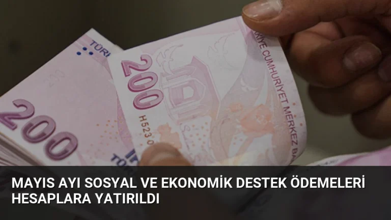 Mayıs Ayı Sosyal ve Ekonomik Destek Ödemeleri Hesaplara Yatırıldı