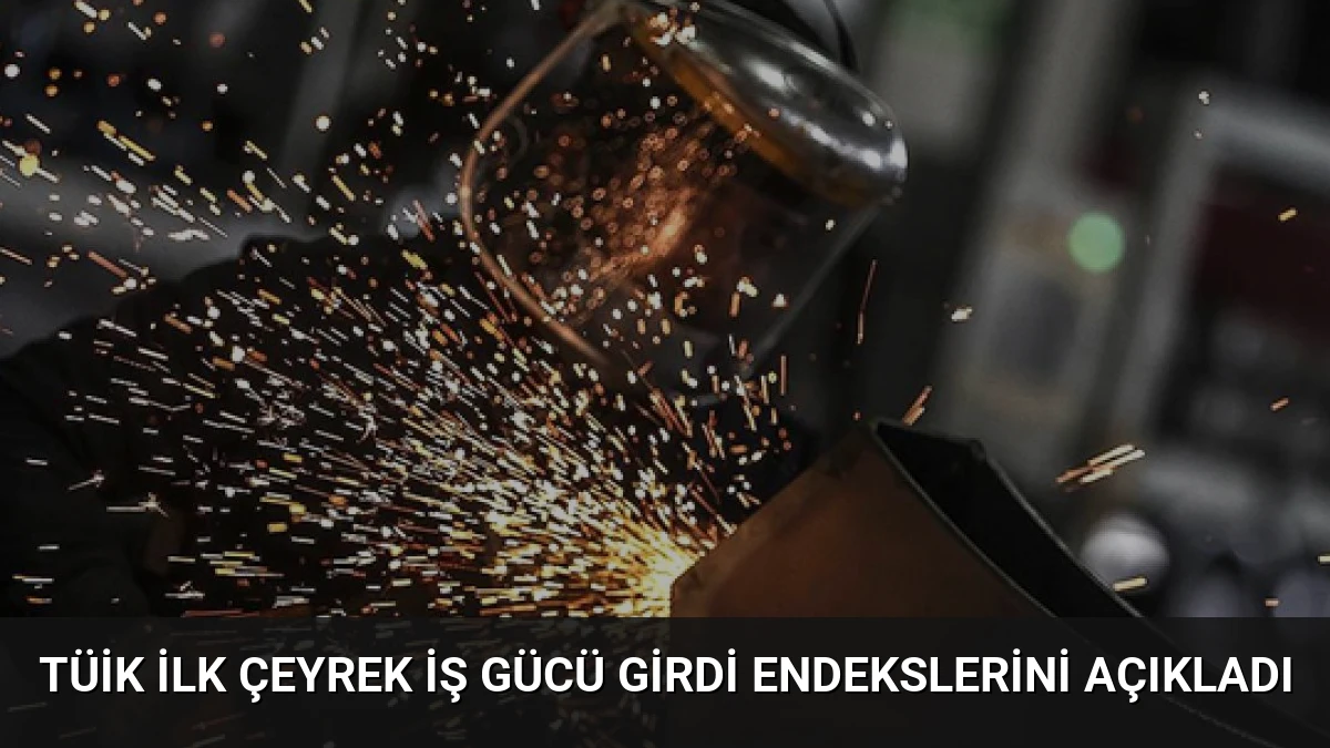 TÜİK İlk Çeyrek İş Gücü Girdi Endekslerini Açıkladı