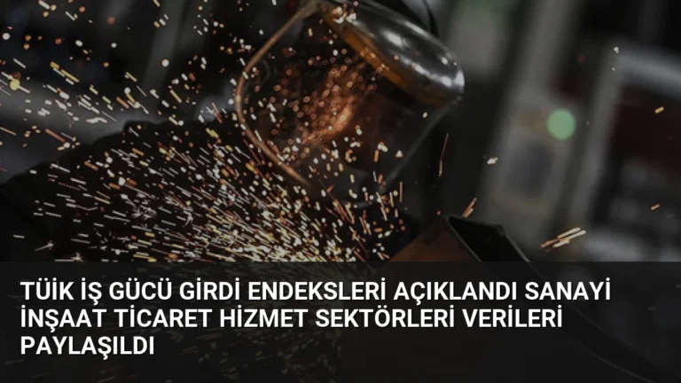 TÜİK İş Gücü Girdi Endeksleri Açıklandı Sanayi İnşaat Ticaret Hizmet Sektörleri Verileri Paylaşıldı