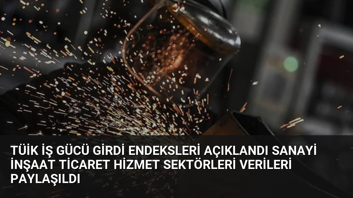 TÜİK İş Gücü Girdi Endeksleri Açıklandı Sanayi İnşaat Ticaret Hizmet Sektörleri Verileri Paylaşıldı