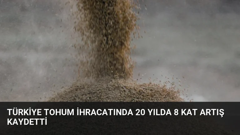 Türkiye Tohum İhracatında 20 Yılda 8 Kat Artış Kaydetti