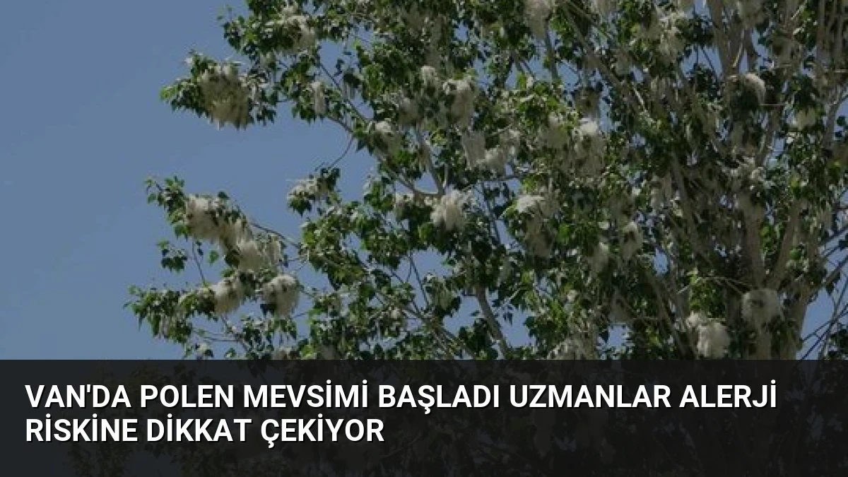 Van’da Polen Mevsimi Başladı Uzmanlar Alerji Riskine Dikkat Çekiyor