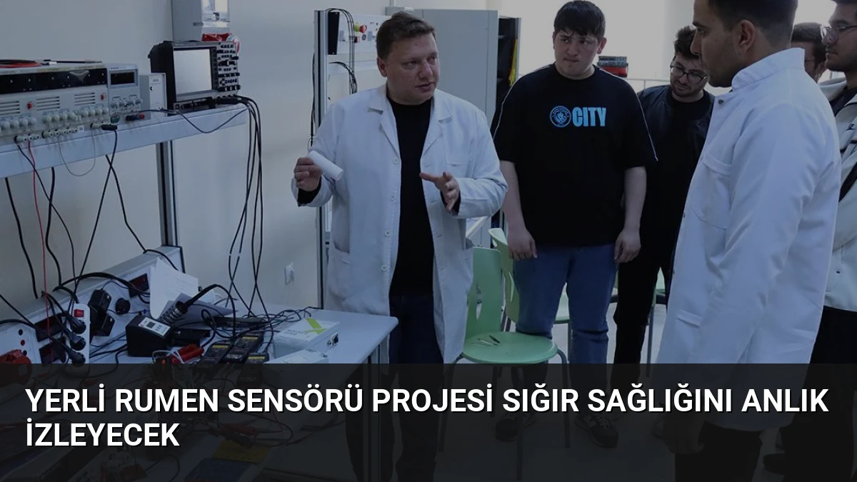 Yerli Rumen Sensörü Projesi Sığır Sağlığını Anlık İzleyecek