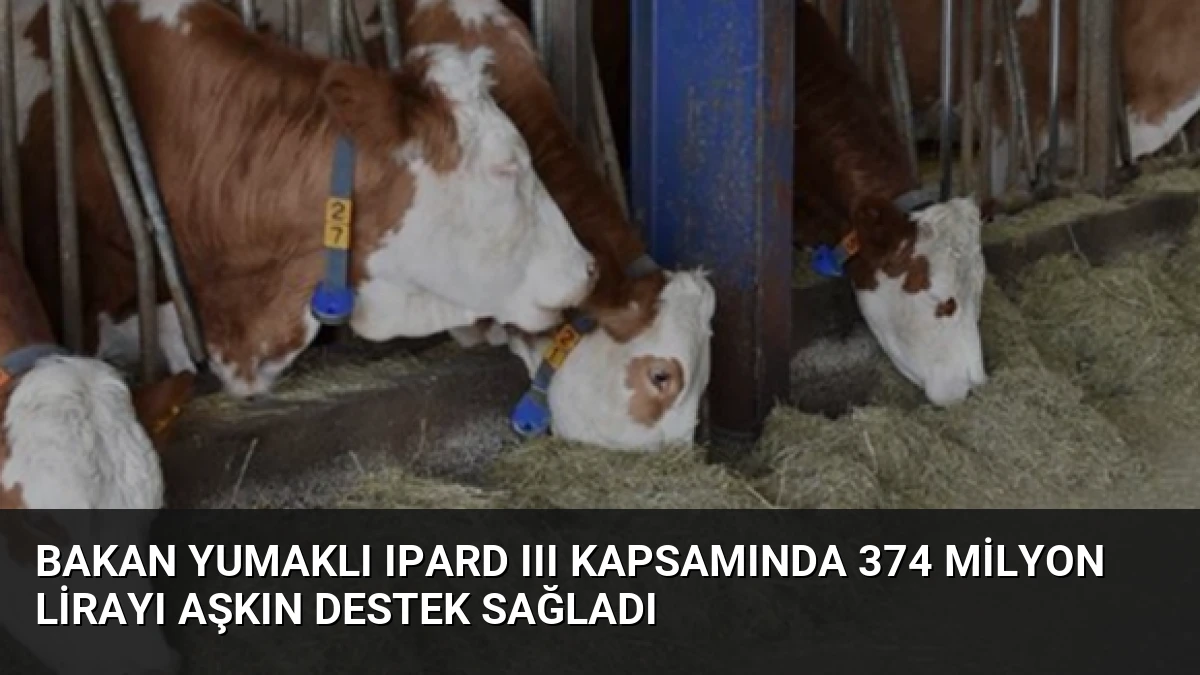 Bakan Yumaklı IPARD III kapsamında 374 milyon lirayı aşkın destek sağladı
