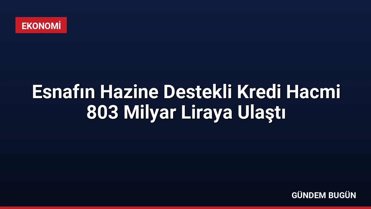 Esnafın Hazine Destekli Kredi Hacmi 803 Milyar Liraya Ulaştı