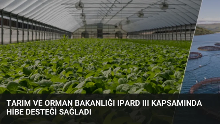 Tarım ve Orman Bakanlığı IPARD III Kapsamında Hibe Desteği Sağladı