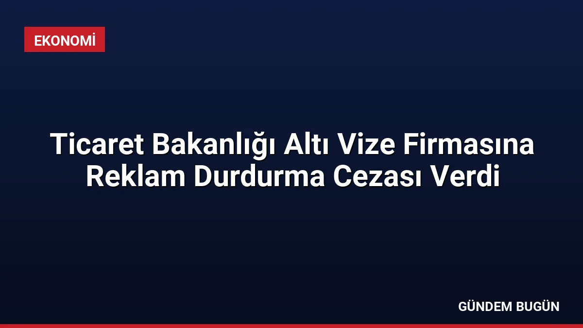 Ticaret Bakanlığı Altı Vize Firmasına Reklam Durdurma Cezası Verdi