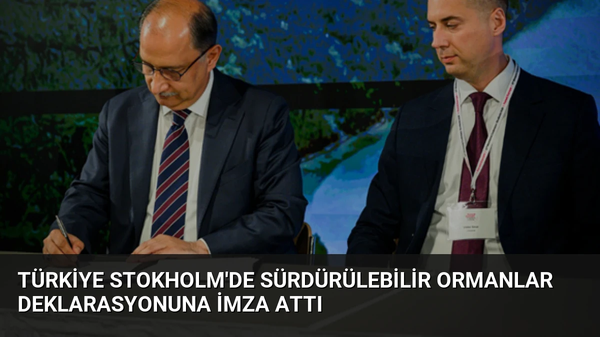 Türkiye Stokholm’de Sürdürülebilir Ormanlar Deklarasyonuna İmza Attı