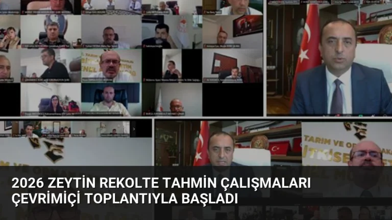 2026 Zeytin Rekolte Tahmin Çalışmaları Çevrimiçi Toplantıyla Başladı