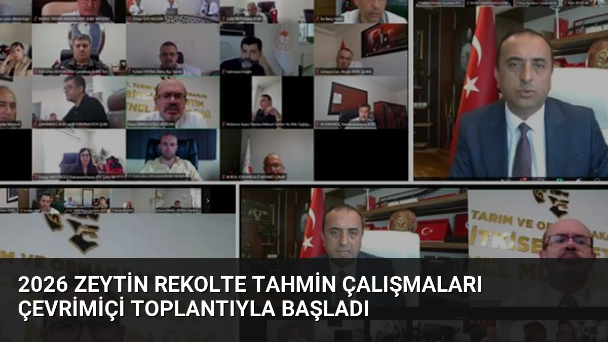 2026 Zeytin Rekolte Tahmin Çalışmaları Çevrimiçi Toplantıyla Başladı